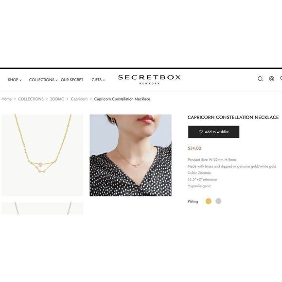 Secretbox NY Capricorn Constellation Necklace - Picture 2 of 9